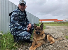 Свердловская полиция организовала широкомасштабный поиск двух пропавших в лесу под Байкалово детей
