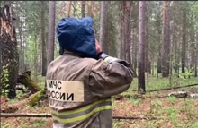 За ночь спасатели МЧС обследовали более 13 километров территории в поисках пропавших в лесу Среднего Урала детей