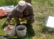 Уральские газовики выпустили в реку Тобол более 46 тысяч мальков стерляди