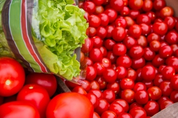 фото: официальный портал Екатеринбурга