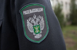 фото: Россельхознадзор по Свердловской области фото: Россельхознадзор по Свердловской области