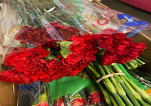 В крупной партии гвоздик, прибывших в Екатеринбург, обнаружен вредитель