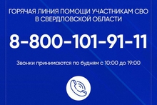 Более 900 звонков поступило с начала 2025 года на горячую линию помощи участникам СВО