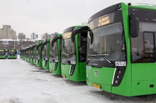 На маршруты Екатеринбурга вышли 15 новых автобусов
