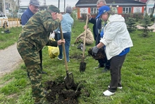 Акция «Сад памяти» пройдет на 30 площадках в Свердловской области