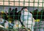 Около 500 попугаев прилетело в Екатеринбург из Краснодарского края