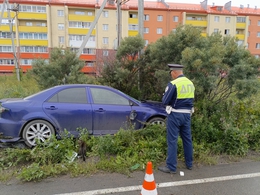 Фото: Госавтоинспекция Свердловской области Фото: Госавтоинспекция Свердловской области
