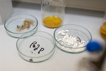 Уральские химики продвинулись в создании лекарства от болезни Альцгеймера