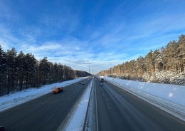 фото: ДИП