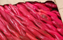 В Свердловскую область из Узбекистана ввезено почти пять тонн зараженных овощей