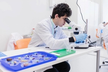 Шесть уральских школьников вошли в состав сборной России по биологии