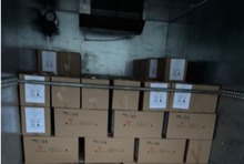 Из Свердловской области в Сирию отправили более 30 тысяч инкубационных яиц Из Свердловской области в Сирию отправили более 30 тысяч инкубационных яиц