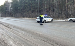 Фото: Госавтоинспекция Свердловской области