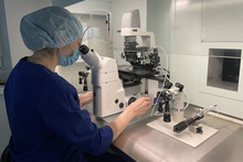 Более 900 свердловчанок стали мамами благодаря процедуре ЭКО с начала 2025 года