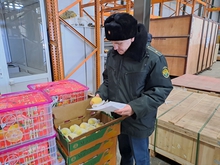 Экзотические фрукты личи и маракуйю впервые поставили на Урал