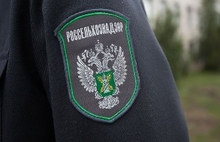 В Свердловскую область ввезена крупная партия китайских семечек В Свердловскую область ввезена крупная партия китайских семечек