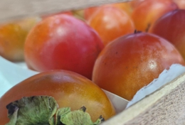 фото: Россельхознадзор по Свердловской области