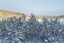 Предстоящая неделя в Свердловской области вновь ожидается достаточно прохладной