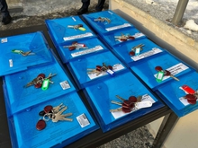 Свердловская область стала регионом-лидером по обеспечению жильем детей-сирот в 2025 году Свердловская область стала регионом-лидером по обеспечению жильем детей-сирот в 2025 году