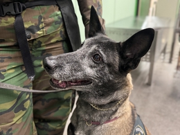 фото: Уральское таможенное управление