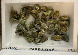 фото: Россельхознадзор по Свердловской области фото: Россельхознадзор по Свердловской области