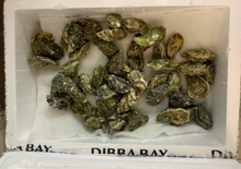 Более 150 килограмм живых устриц Россельхознадзор проверил в аэропорту Екатеринбурга