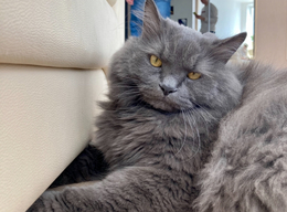 фото: АПИ Урал