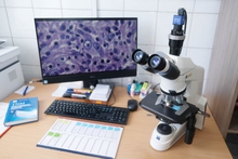 «Библиотеку» будущих лекарств для борьбы с устойчивыми инфекциями формируют на Среднем Урале «Библиотеку» будущих лекарств для борьбы с устойчивыми инфекциями формируют на Среднем Урале