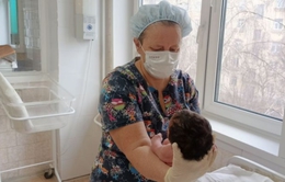 фото: ДИП фото: ДИП