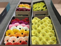 фото: Уральское таможенное управление