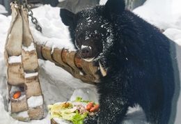 фото: Екатеринбургский зоопарк 