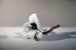 фото: пресс-служба музея ИЗО