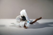 В Екатеринбурге откроется юбилейная выставка «Наследники Данилы-мастера»