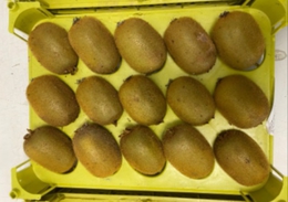 фото: Россельхознадзор по Свердловской области