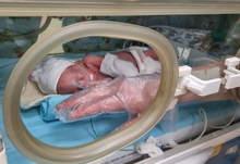 На Среднем Урале за неделю родились 620 малышей На Среднем Урале за неделю родились 620 малышей