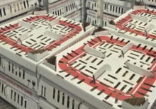 Из Свердловской области в Узбекистан вывезено около 17 тысяч суточных цыплят