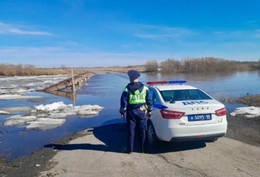 Фото: Госавтоинспекция Свердловской области