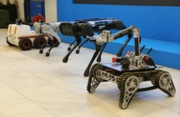 фото: скриншот