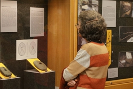 фото: скриншот