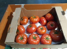 фото: Россельхознадзор по Свердловской области