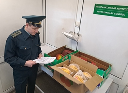 фото: Уральское таможенное управление