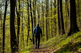 фото: Министерство здравоохранения Свердловской области