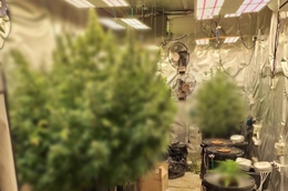 фото: МВД Екатеринбурга