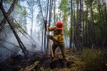 Особый противопожарный режим стартует в Свердловской области с 25 апреля