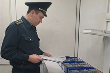 Уральские таможенники оформили ввоз первой партии голубики из Китая