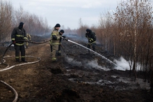 Лесные пожарные ликвидировали крупное возгорание в Ивдельском лесничестве