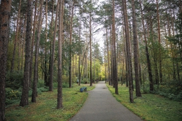 фото: официальный портал Екатеринбурга