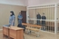 На Среднем Урале вынесен приговор соучастникам разбойного нападения на актера фильма «Финист - Ясный сокол»