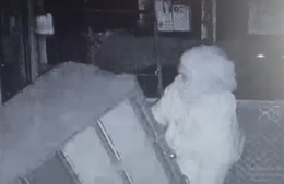 фото: скриншот видео