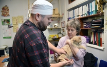 В Екатеринбурге стартует запись на бесплатную стерилизацию животных